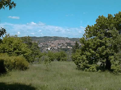 Vista di Seggiano